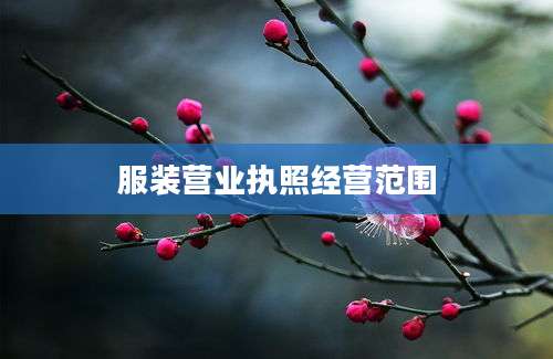 服装营业执照经营范围