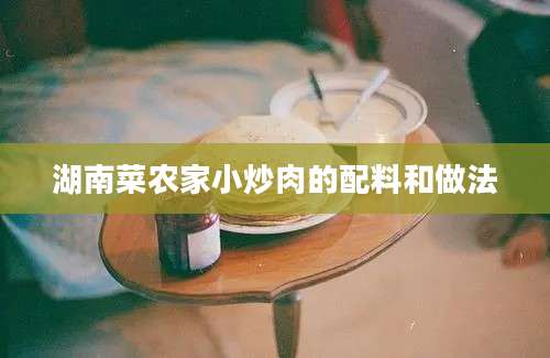 湖南菜农家小炒肉的配料和做法