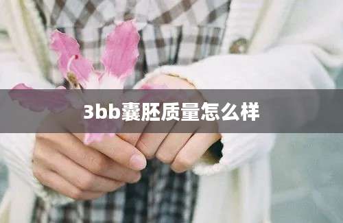 3bb囊胚质量怎么样