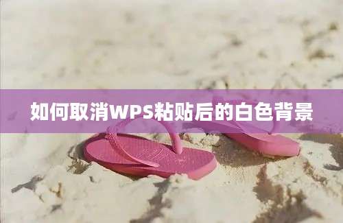 如何取消WPS粘贴后的白色背景