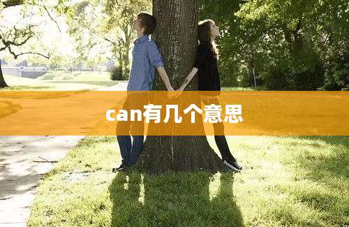 can有几个意思