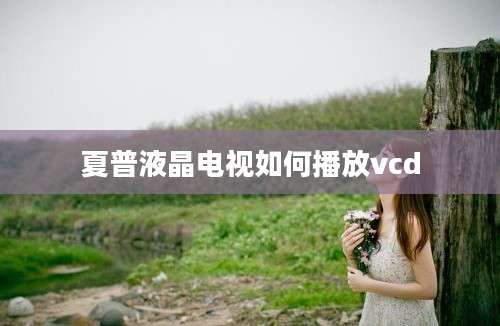 夏普液晶电视如何播放vcd