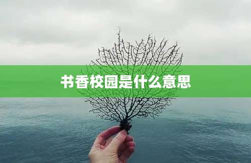 书香校园是什么意思