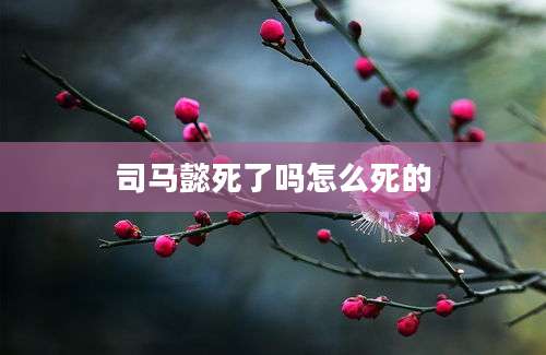 司马懿死了吗怎么死的