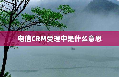 电信CRM受理中是什么意思