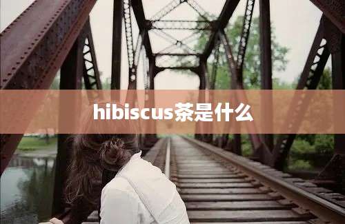 hibiscus茶是什么