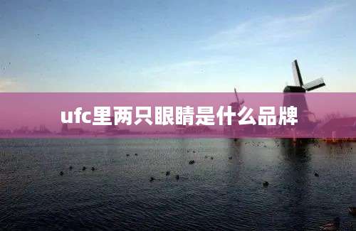 ufc里两只眼睛是什么品牌