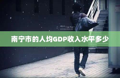 南宁市的人均GDP收入水平多少