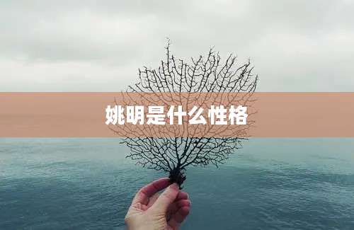 姚明是什么性格