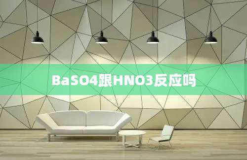 BaSO4跟HNO3反应吗