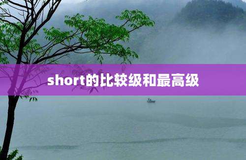 short的比较级和最高级