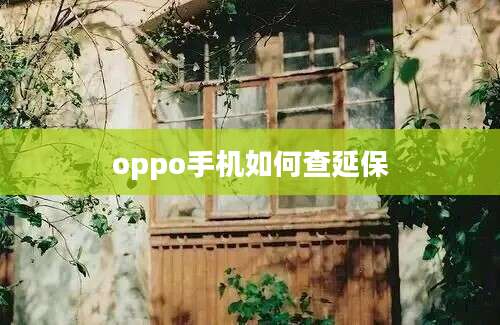 oppo手机如何查延保