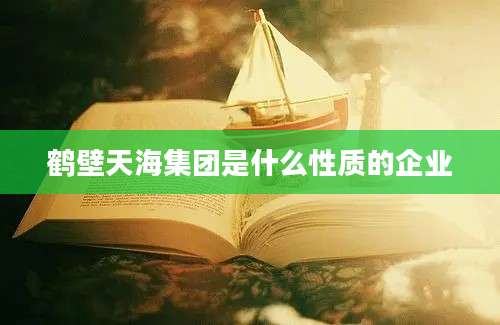 鹤壁天海集团是什么性质的企业