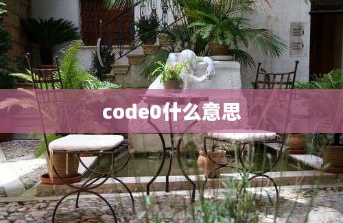 code0什么意思