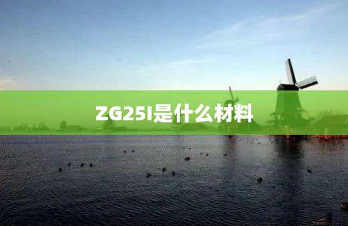 ZG25I是什么材料