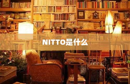 NITTO是什么