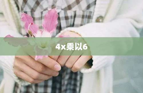 4x乘以6