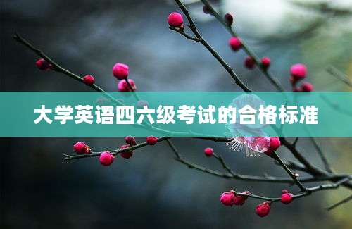 大学英语四六级考试的合格标准