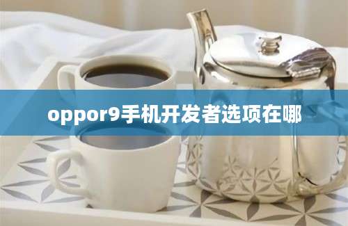 oppor9手机开发者选项在哪