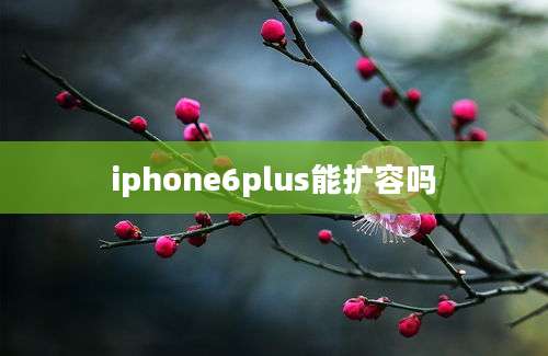 iphone6plus能扩容吗