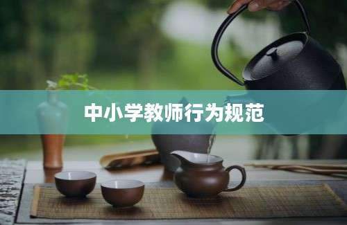 中小学教师行为规范