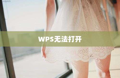 WPS无法打开