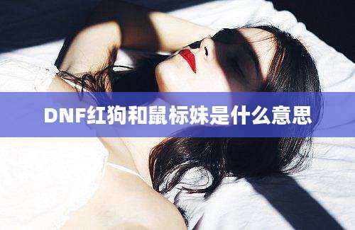 DNF红狗和鼠标妹是什么意思