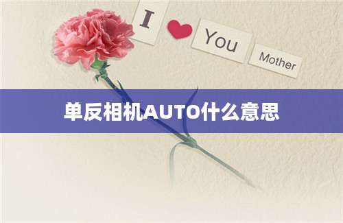 单反相机AUTO什么意思