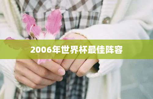 2006年世界杯最佳阵容