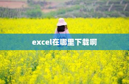 excel在哪里下载啊