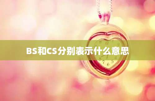 BS和CS分别表示什么意思