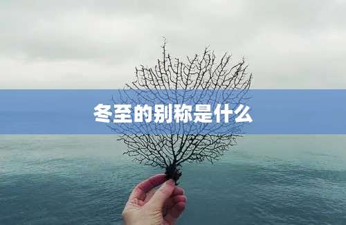 冬至的别称是什么