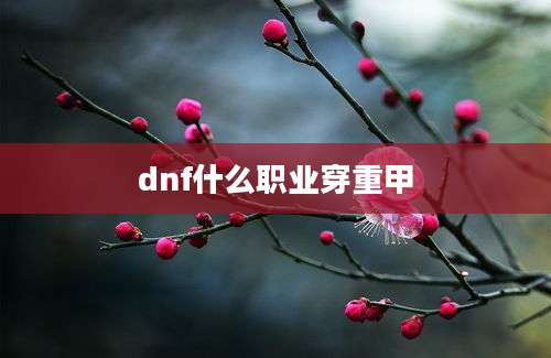 dnf什么职业穿重甲