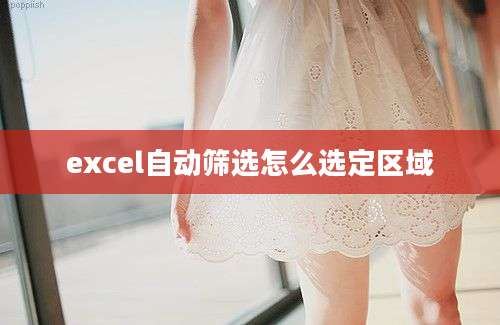 excel自动筛选怎么选定区域