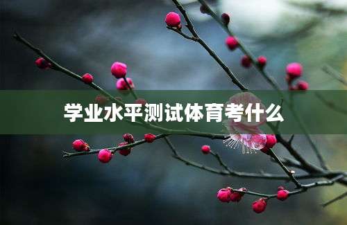 学业水平测试体育考什么