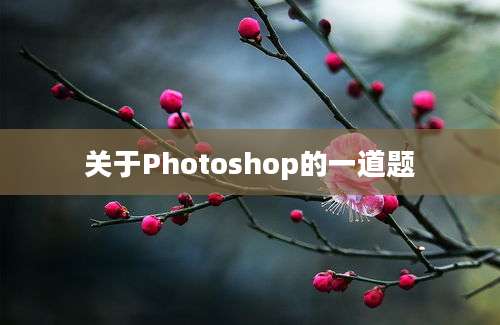 关于Photoshop的一道题