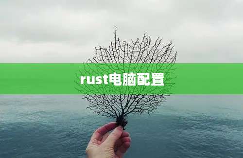 rust电脑配置