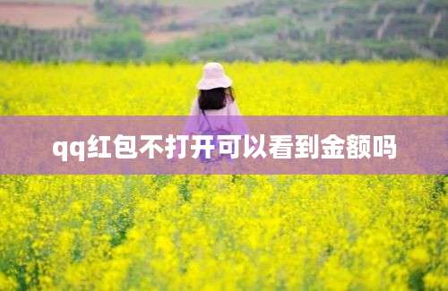 qq红包不打开可以看到金额吗