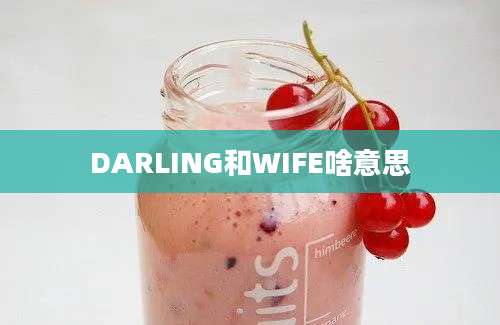 DARLING和WIFE啥意思