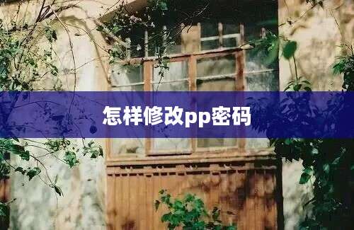 怎样修改pp密码