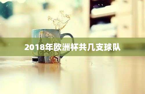 2018年欧洲杯共几支球队