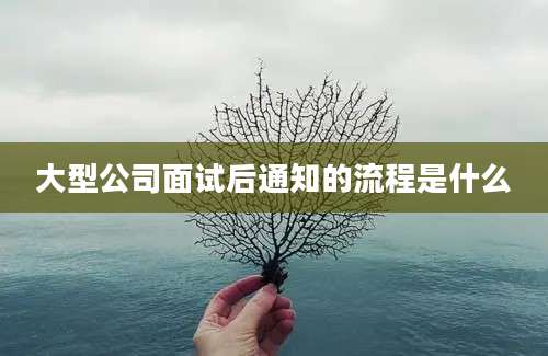 大型公司面试后通知的流程是什么