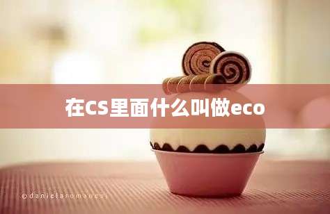 在CS里面什么叫做eco