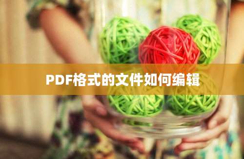 PDF格式的文件如何编辑