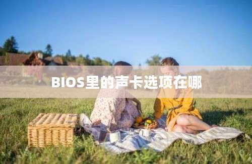 BIOS里的声卡选项在哪