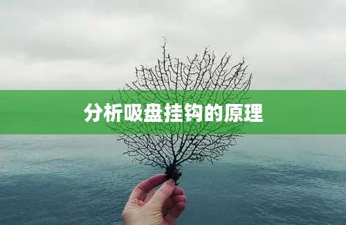 分析吸盘挂钩的原理