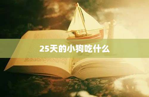 25天的小狗吃什么