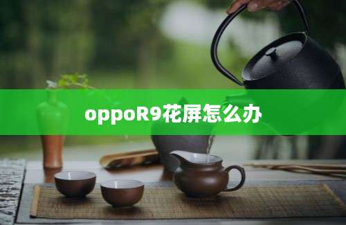 oppoR9花屏怎么办