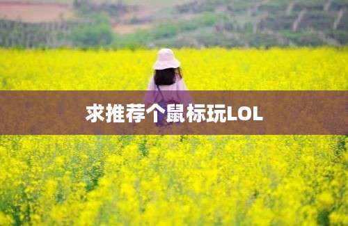 求推荐个鼠标玩LOL