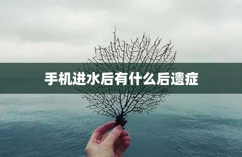 手机进水后有什么后遗症